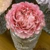 All four cherry blossoms Rose for sale丨Flower Gardens