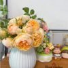 Apricot Cooler Rose plant丨Flower Gardens