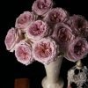 Beiley Rose丨Flower Gardens