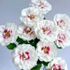 Brideside Rose Plant丨Flower Gardens