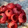 Cinnabar Bowl Rose丨Flower Gardens