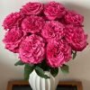 Country Spirit Blue Rose丨Flower Gardens
