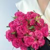 Country Spirit Blue Rose palnt丨Flower Gardens