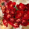 Dominique Massad Rose for sale丨Flower Gardens