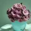 Grey Knights Rose plant丨Flower Gardens