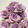 Grey Knights Rose for sale丨Flower Gardens