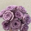 Grey Knights Rose丨Flower Gardens