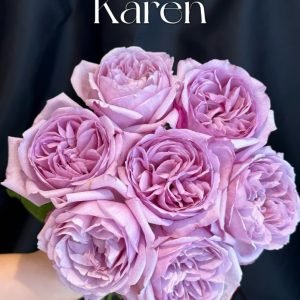 Karen Rose丨Flower Gardens