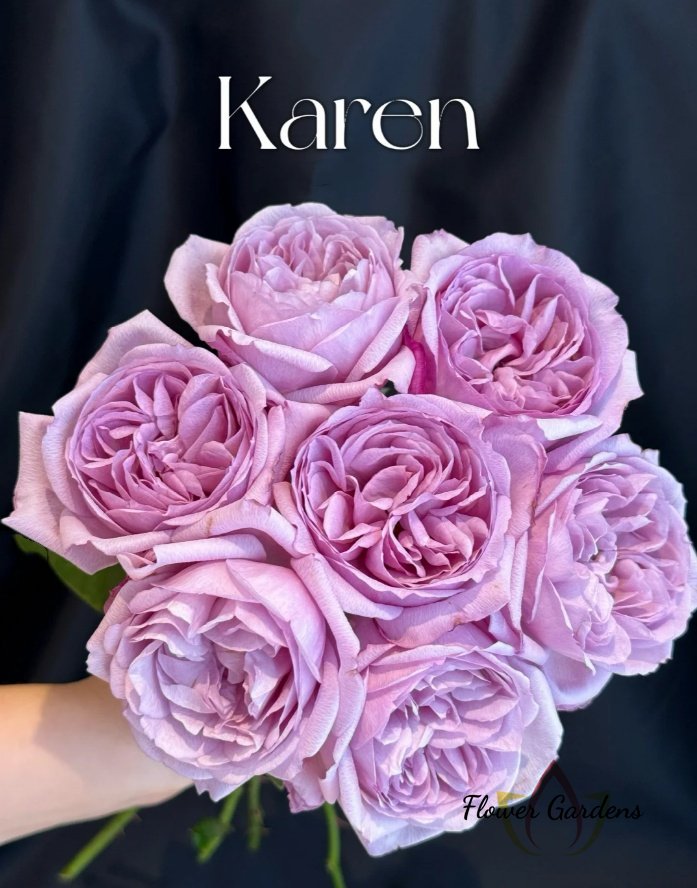 Karen Rose丨Flower Gardens