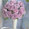 Kong Meng Roses丨Flower Gardens
