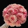 Mayra Peach Rose plant丨Flower Gardens