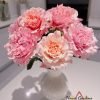 Mayra Peach Rose丨Flower Gardens