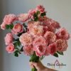Mikoto Rose for sale丨Flower Gardens