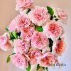 Mikoto Rose plant丨Flower Gardens