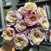 Pimms Rose丨Flower Gardens