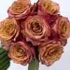 Pimms Rose丨Flower Gardens