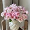 Porte Bonheur Rose丨Flower Gardens