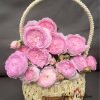 Rongrong Yue Rose for sale丨Flower Gardens