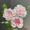 Rongrong Yue Rose丨Flower Gardens