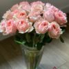Salmanasar Rose 丨Flower Gardens