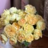 Sicilienne Rose plant丨Flower Gardens