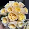 Souffle Rose Plant丨Flower Gardens
