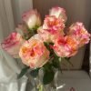 Stylist Rose丨Flower Gardens