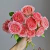 Summer Fireworks Rose Plant丨Flower Gardens