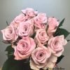 Sweet Menta Rose丨Flower Gardens