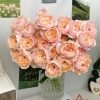Tsumugi-Ulala Rose丨Flower Gardens