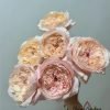Tsumugi-Ulala Rose for sale丨Flower Gardens