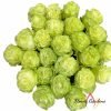 Wasabi Rose丨Flower Gardens