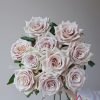 Wild Moss Rose丨Flower Gardens