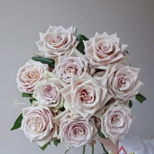 Wild Moss Rose丨Flower Gardens