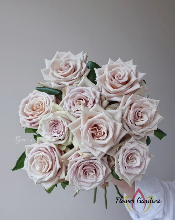 Wild Moss Rose丨Flower Gardens