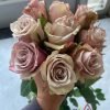 Wild Moss Rose plant丨Flower Gardens