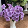 Windy Nigh Rose丨Flower Gardens