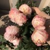 La Chance d'Amour Rose丨Flower Gardens