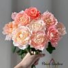 La Chance d'Amour Rose for sale丨Flower Gardens