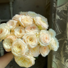 Hazel Rose丨Flower Gardens