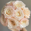 Hazel Rose丨Flower Gardens