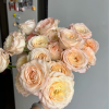 Hazel Rose for sale丨Flower Gardens