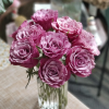 Magic Silver Rose for sale丨Flower Gardens