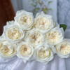 Mayra's White Rose丨Flower Gardens