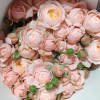 New SPS Rose丨Flower Gardens