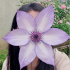 Clematis Utopia丨Flower Gardens