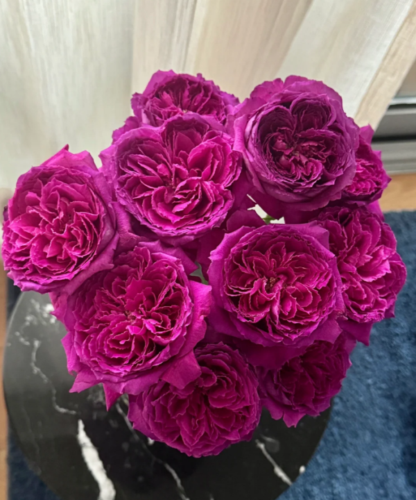 Yu Ji Rose丨Flower Gardens