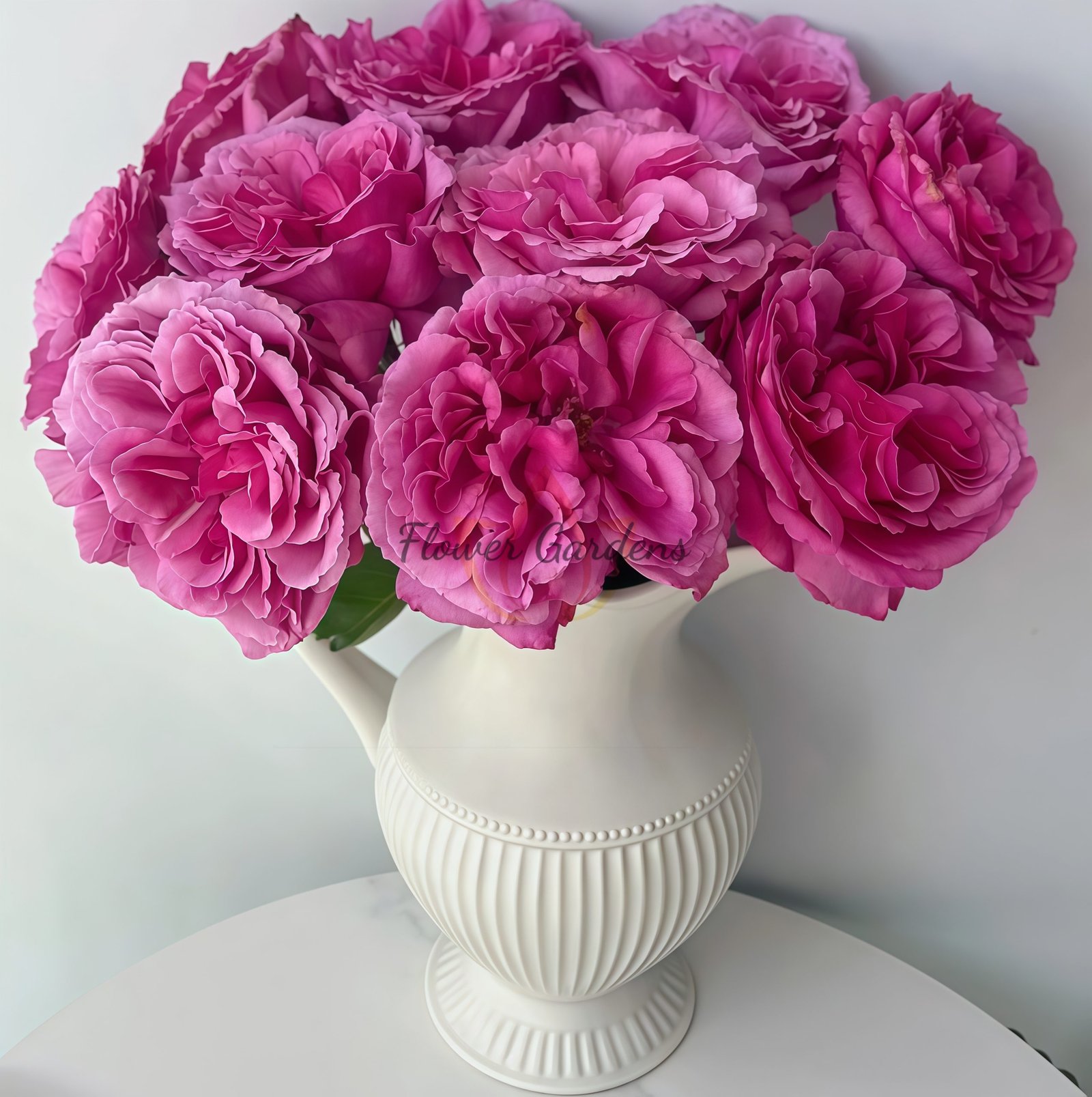 Aromatique Rose for sale丨Flower Gardens