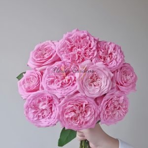 Ashley Rose丨Flower Gardens