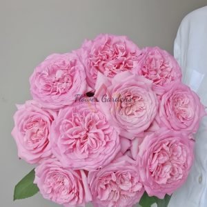 Ashley Rose丨Flower Gardens